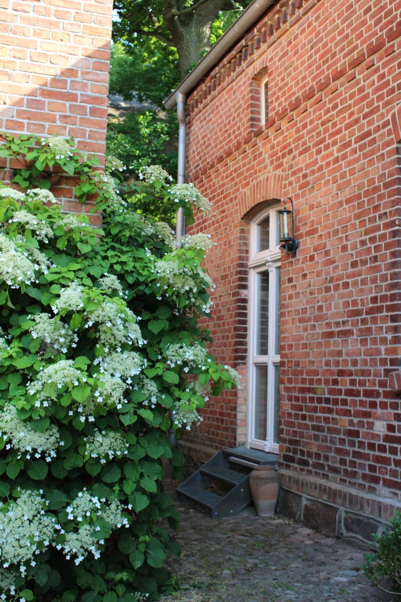 Ferienwohnung Buchholz Buchholz  Dış mekan fotoğraf